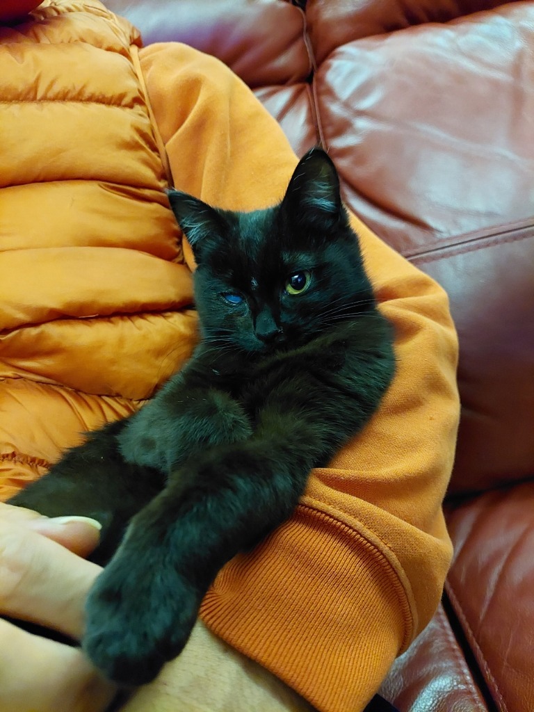 今年もよろしくお願いします。