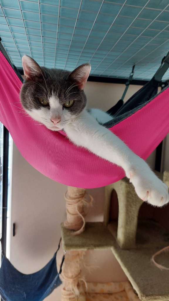 グーグルビジネスアカウント