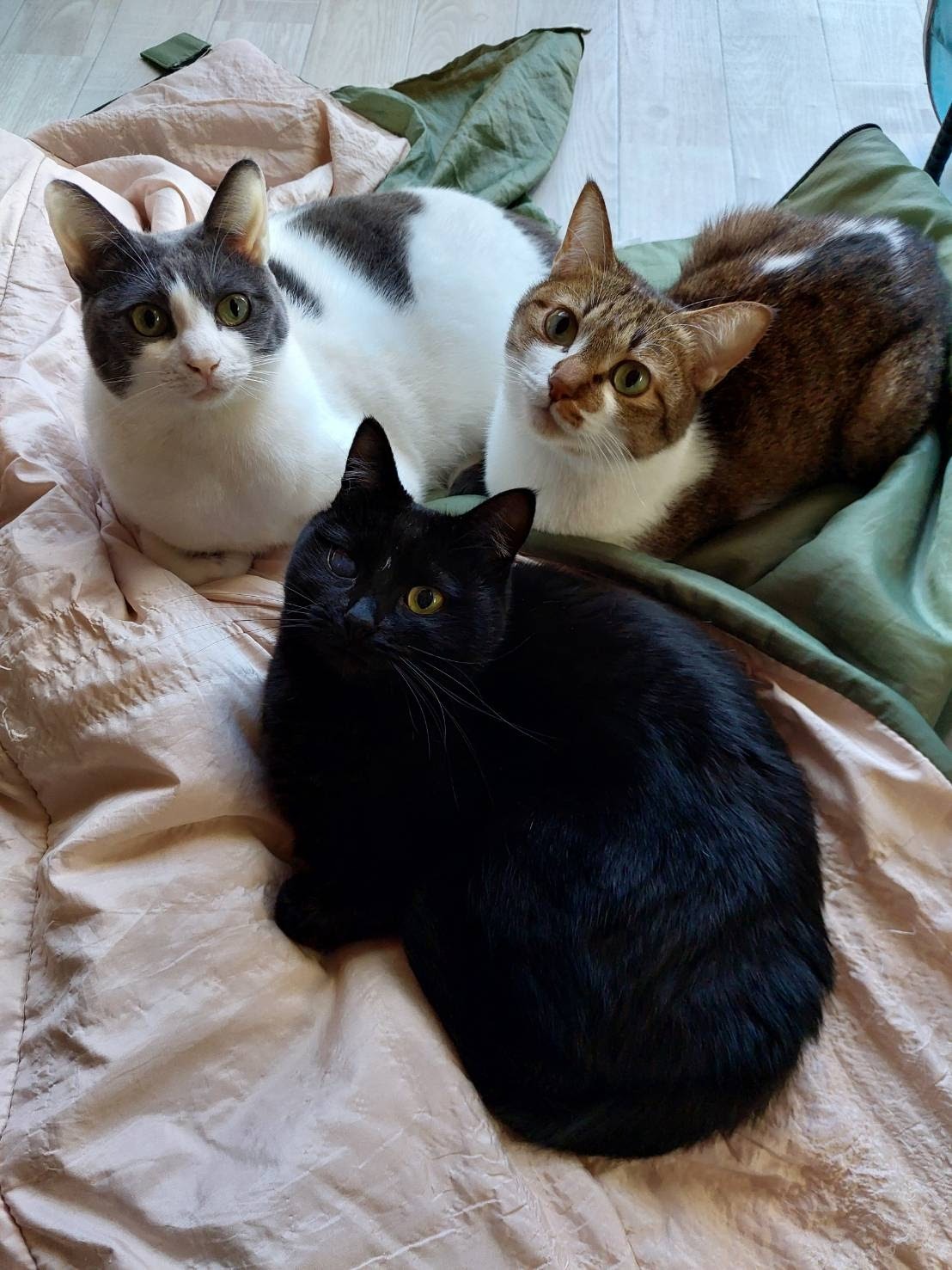 エアコン取付や異臭の対処、電気関連の漏電・断線によるスイッチや電気製品の不調など、日常生活の中で出るお困りごとに、松山市の“よろず屋村田”は最短翌日でお応えします。<br />・寒い冬に暖房がつかなくなった、部屋の照明が切れてしまった<br />・長い間掃除していないエアコンの清掃がしたい<br />・レンジフードの清掃をお願いしたい<br />・新居でエアコン取付だけを依頼したい<br />・電気関連の増設や修理が必要になった<br />お掃除から電気工事までできる便利屋“よろず屋村田”なら、そのようなご依頼にお応えすることが可能です。<br />松山市を中心に、中予地区のお客様に密着してご案内させていただきます。