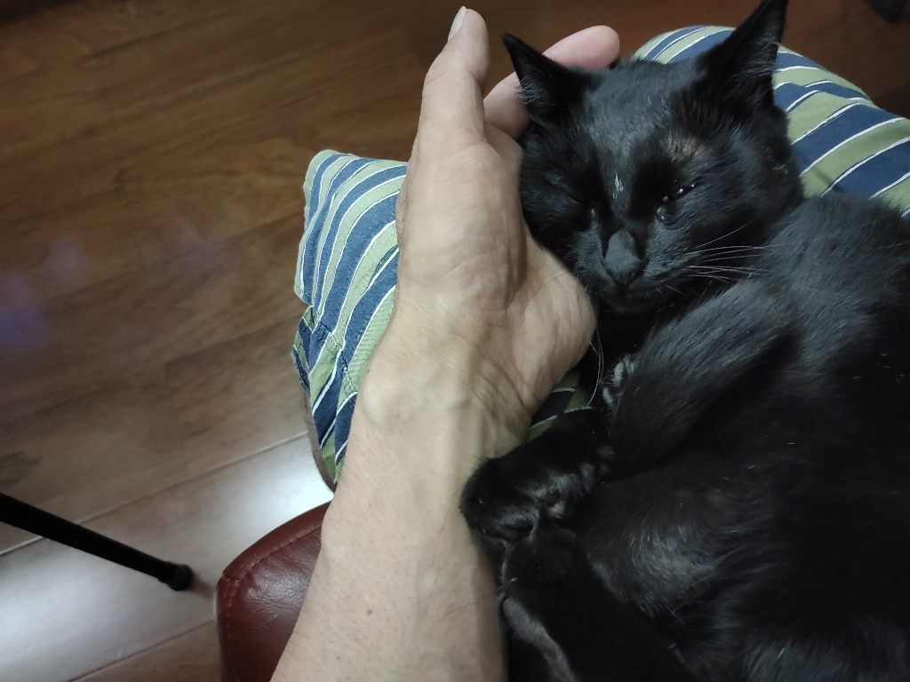 すこし落ち着いて来ました！